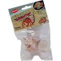 Hermit Crab Growth Shell U680292