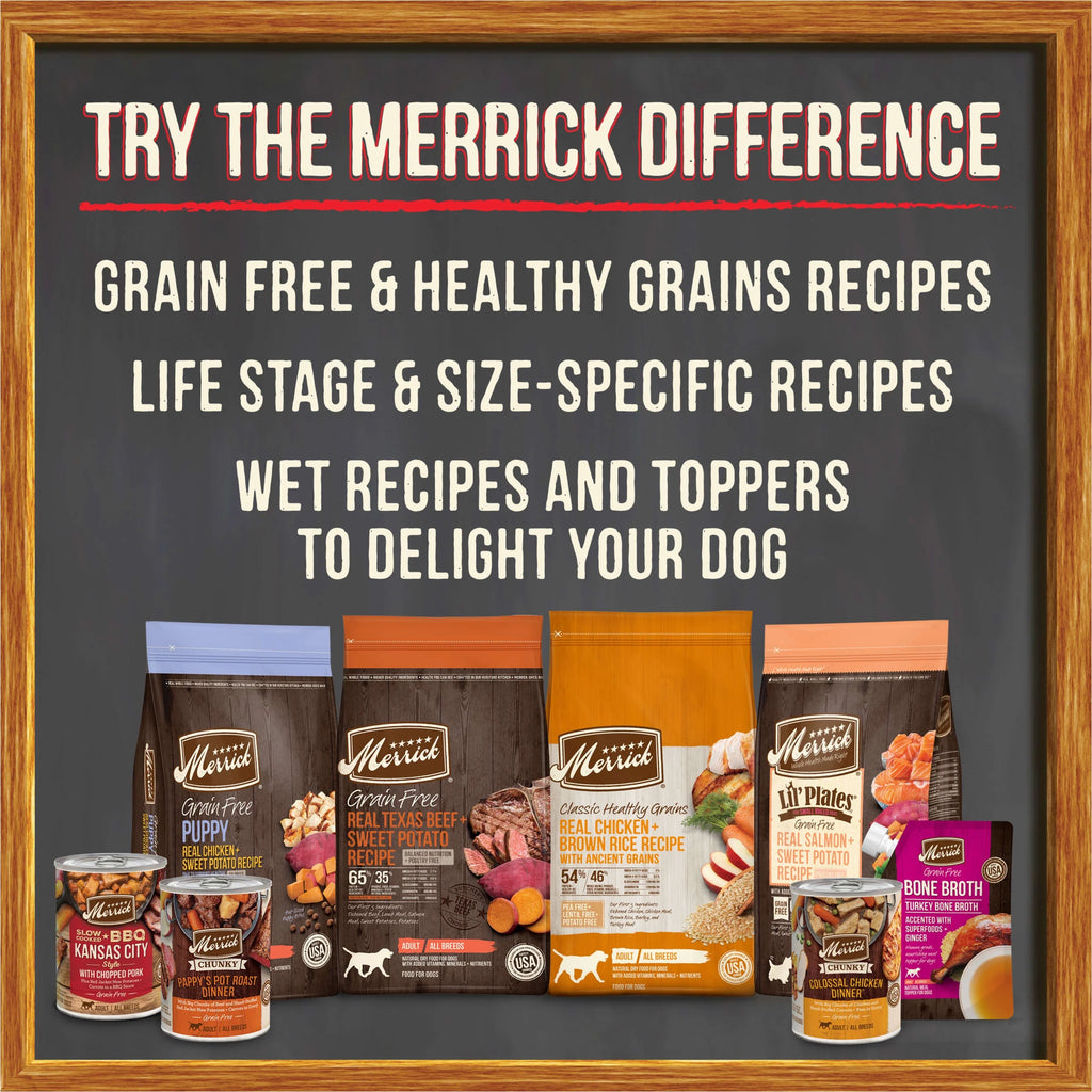 Grain Free Wet Dog Food 12.7 oz Can M919