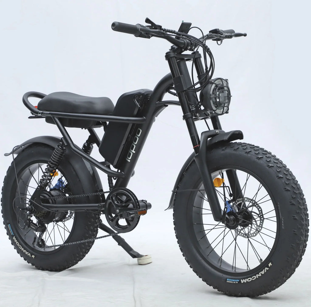 20" x 4.0 Electric Bike with 750W Motor, 48V 15.6Ah Battery K9780