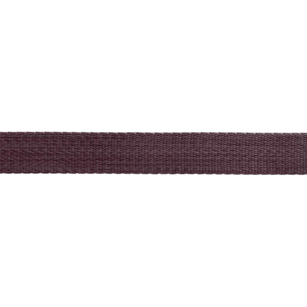 Leash Z365692
