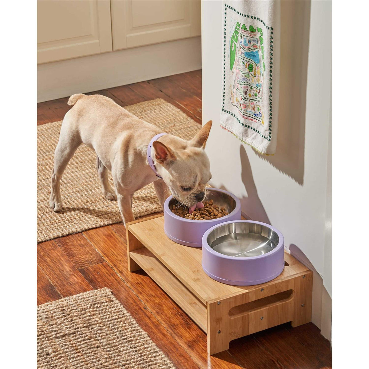 Pet Bowl D635