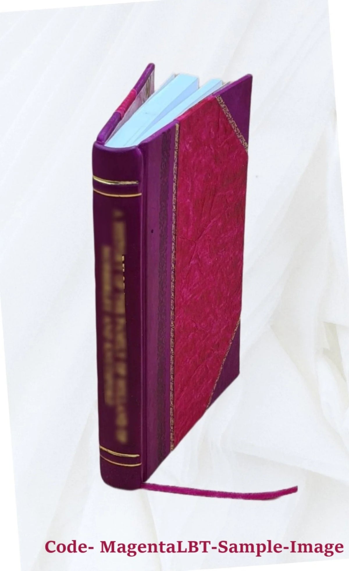 Leather Bound Volume Brief for Petitioner S51738