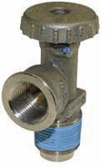 Propane Tank Valve Cap M84605