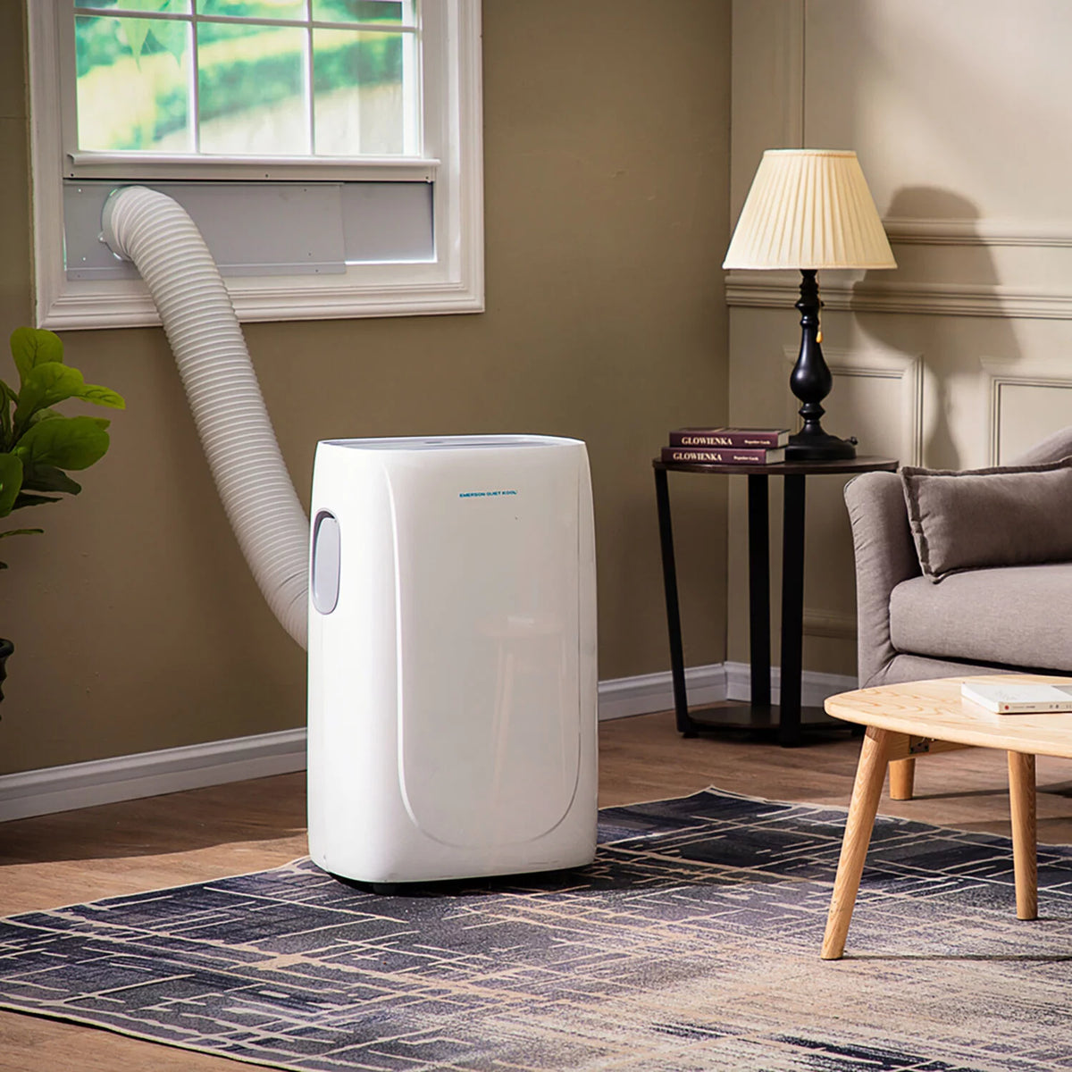 Portable Air Conditioner with Heat R8058