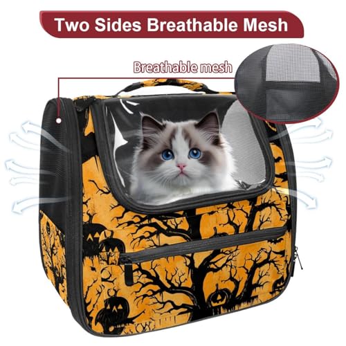 Airline Approved Pet Carrier Bag V3676