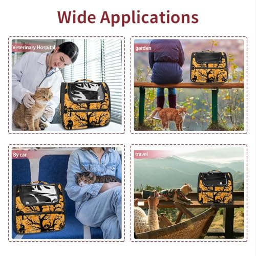 Airline Approved Pet Carrier Bag V3676