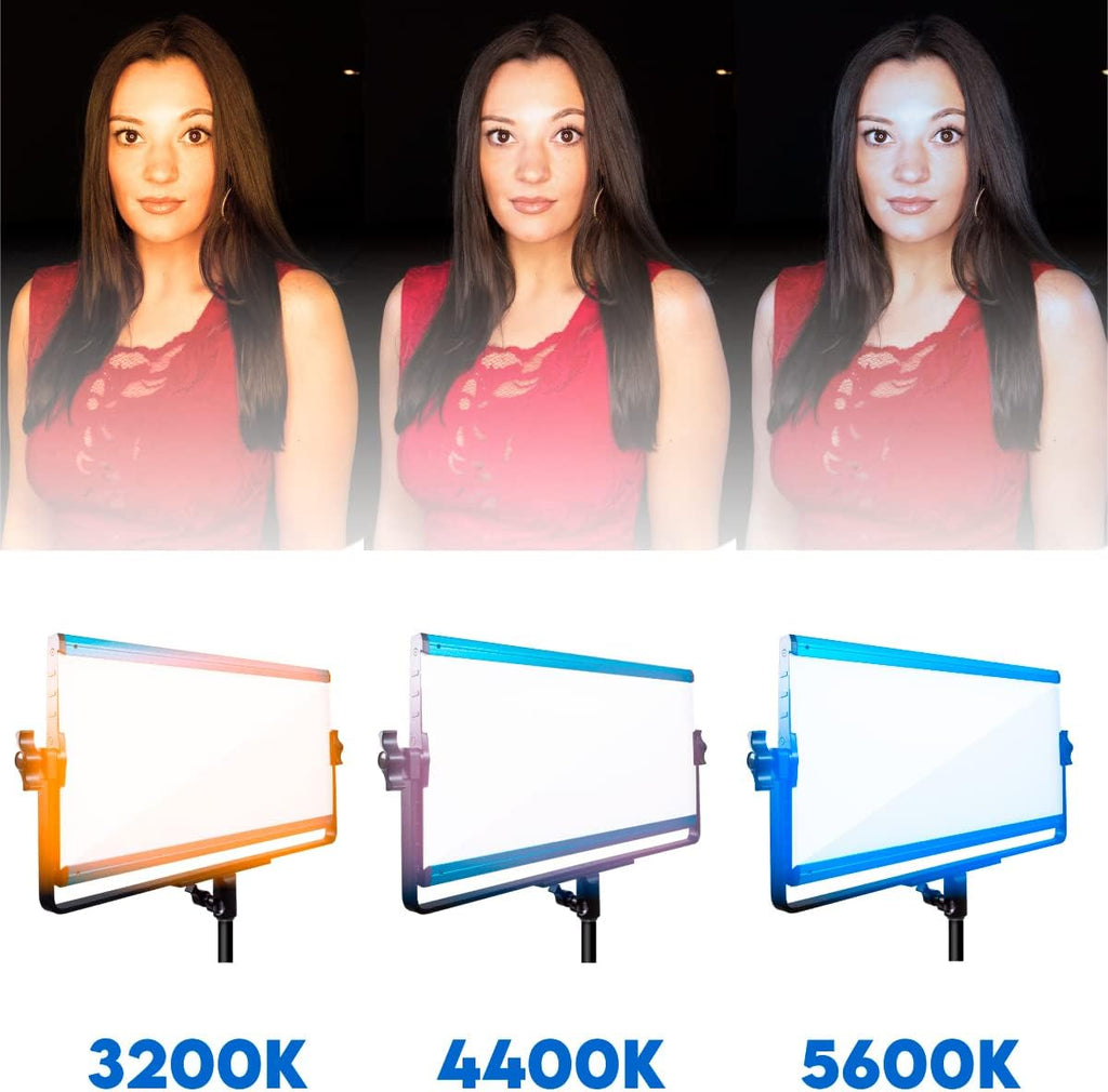 Bi-Color LED 3 Light Kit with Travel Case O232