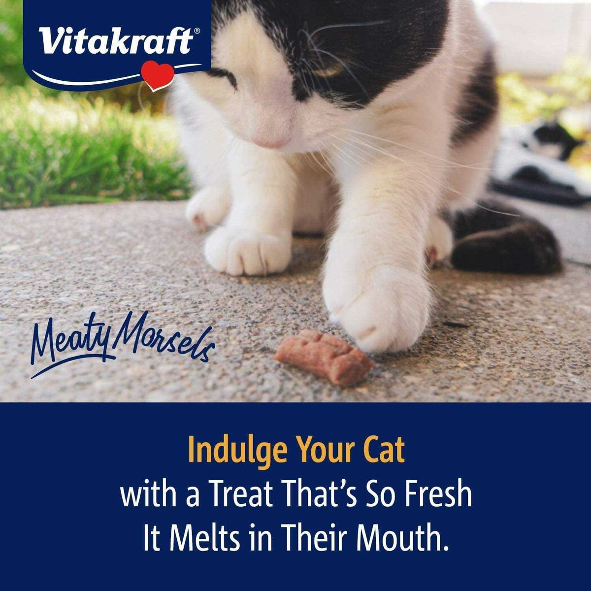 Chicken Salmon Cat Treat Q907