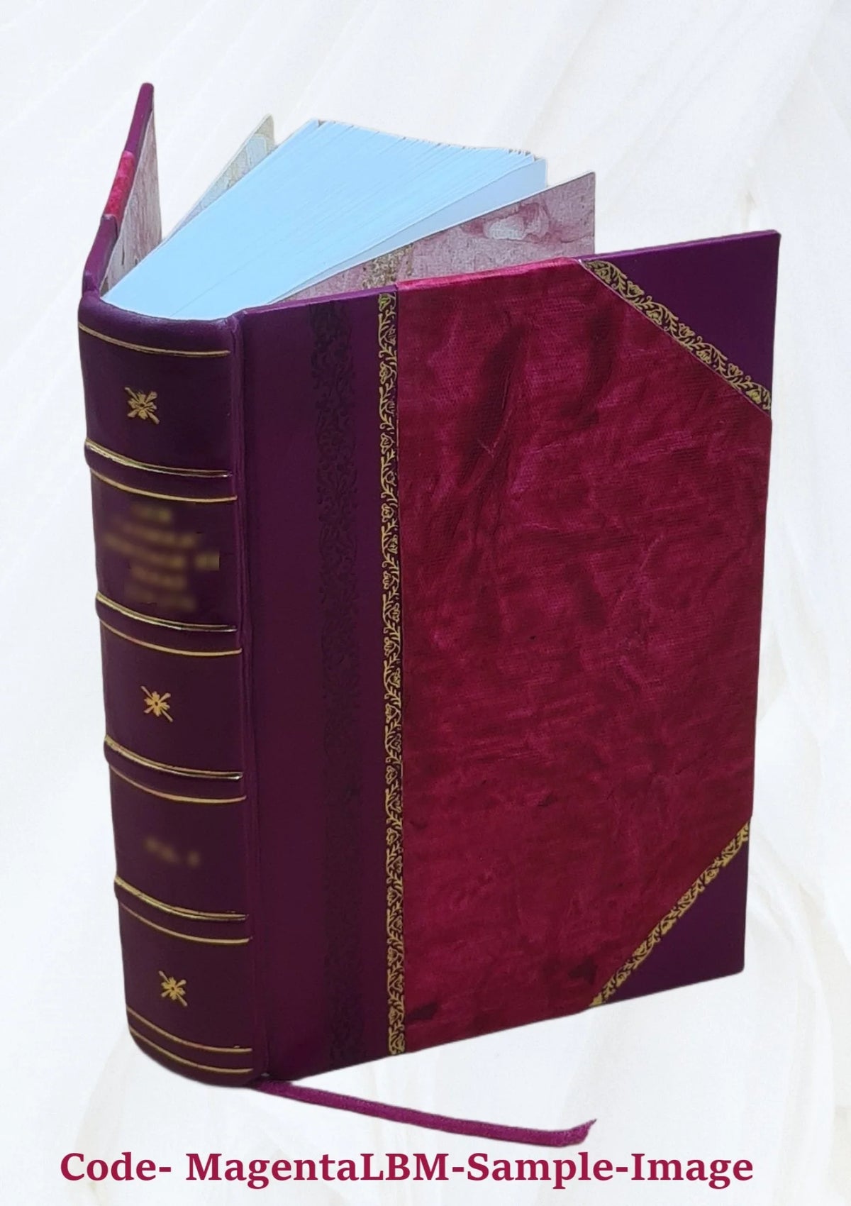Abridged narrative of travels through the interior of South America F989