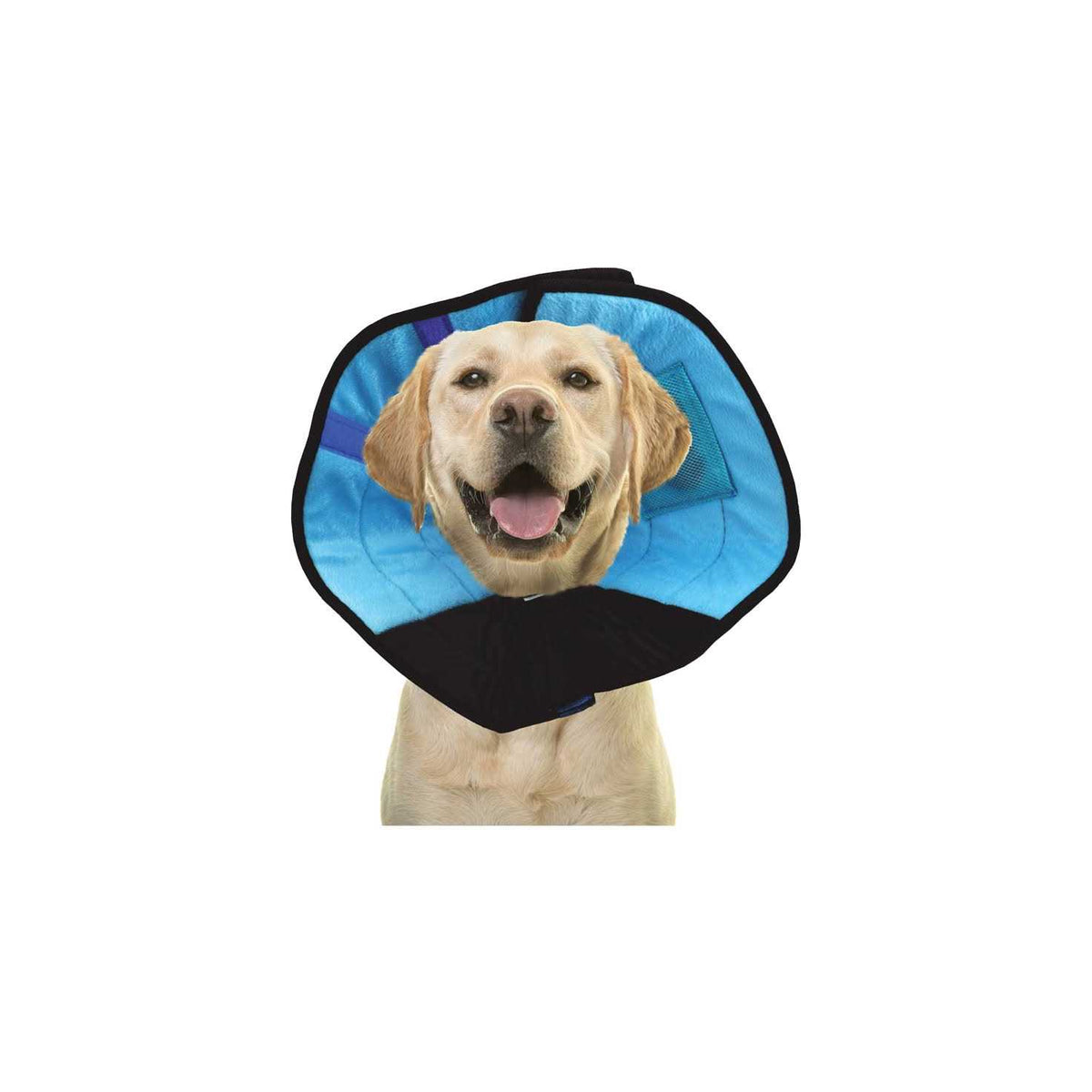 Cat Calming Collar O682447