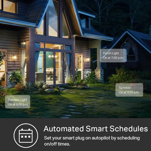 Outdoor Smart Plug with 2 Sockets, Black C38637