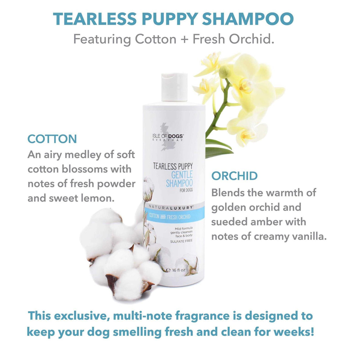 Tearless Puppy Shampoo P610