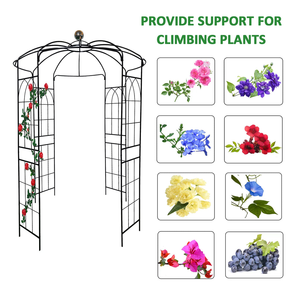 Iron Birdcage-Shaped Metal Garden Arch O708564