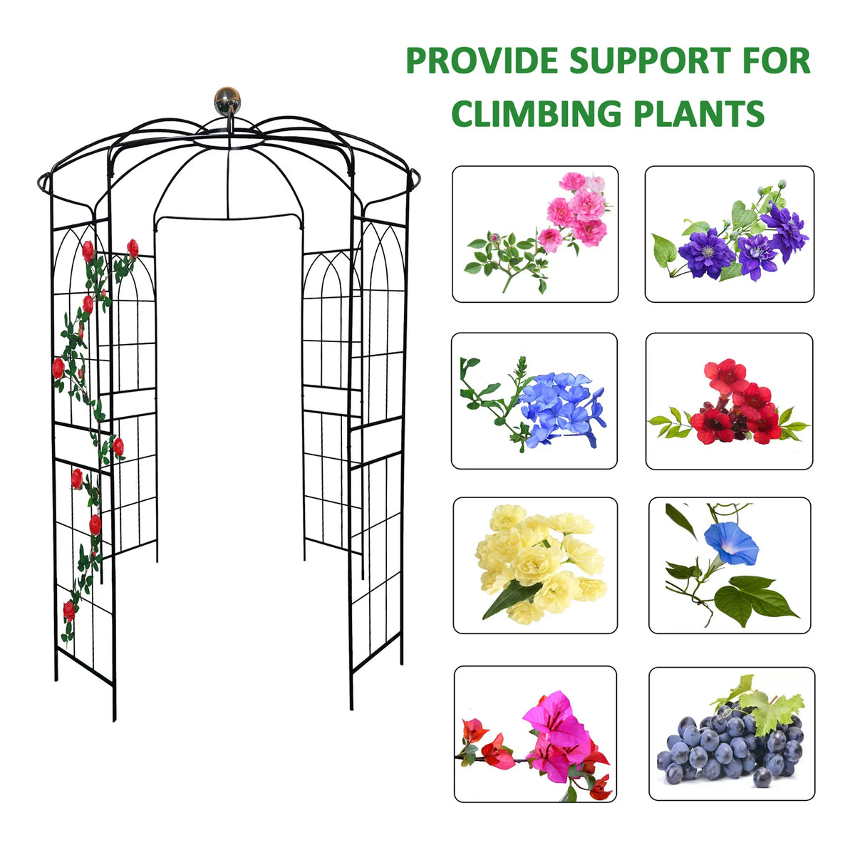 Iron Birdcage-Shaped Metal Garden Arch O708564