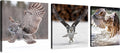 3 Pcs Canvas Wall Art 12x12inches B41918