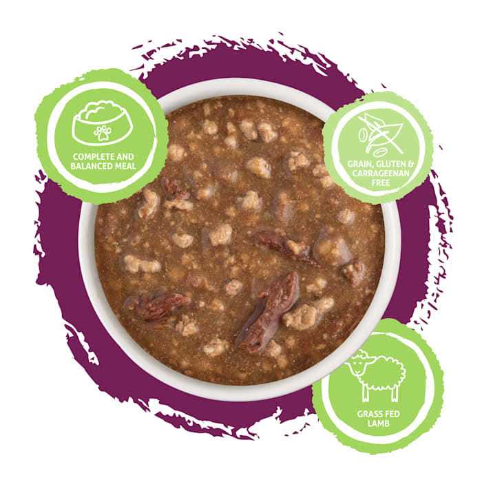 Wet Cat Food in Gravy L549